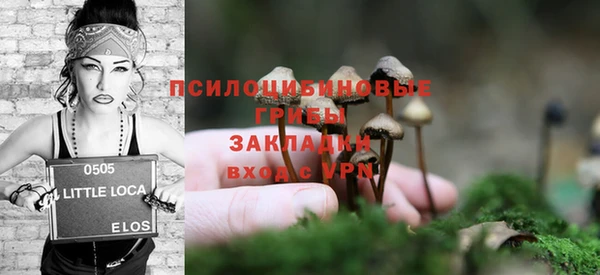синтетический гашиш Медвежьегорск