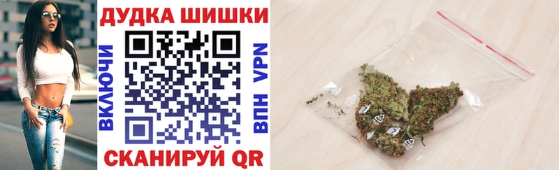 Каннабис планчик цена наркотик Луза